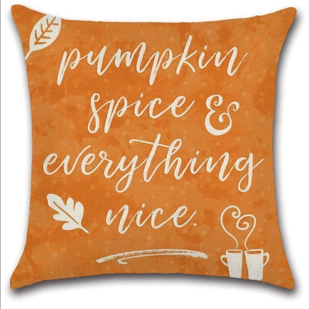 New! Pumpkin Spice Pillow Cover